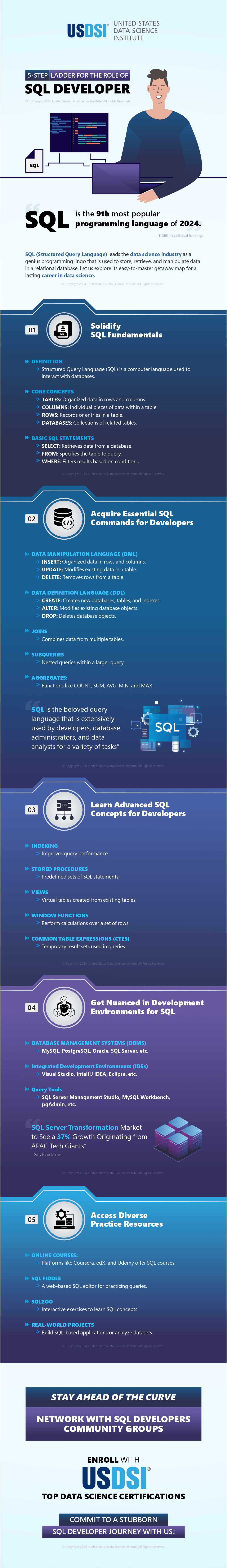 5-Step Ladder for the Role of SQL Developer